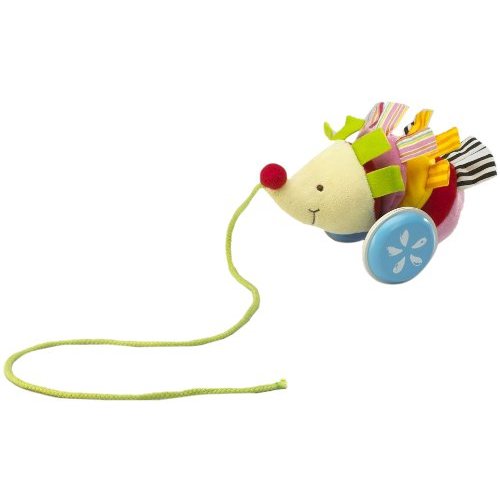 Wonderworld Pull Dlong Hedgehog