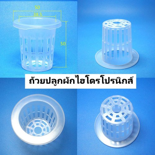 ถ้วยปลูกผักไฮโดรโปรนิกส์ 50 ใบ
